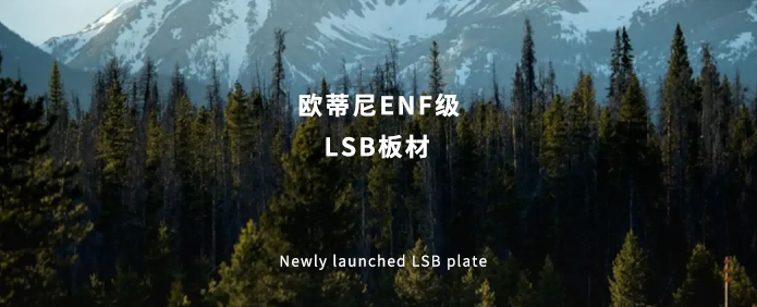 歐蒂尼ENF級LSB板材