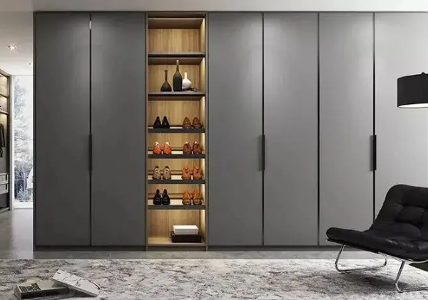 什么樣的衣柜最實用(現(xiàn)在的衣柜是什么樣的)