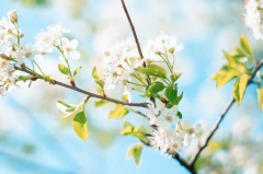 對于墻面裝修，你了解多少呢？